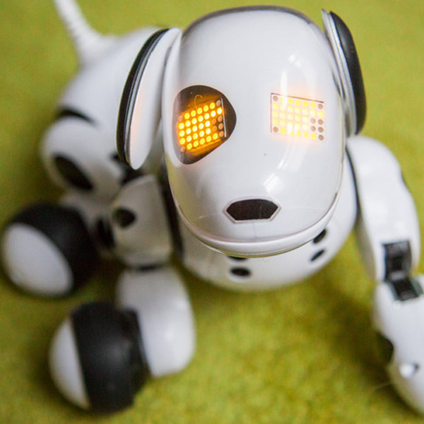 робот,игрушка,Zoomer, Роботизированная собака Zoomer 
