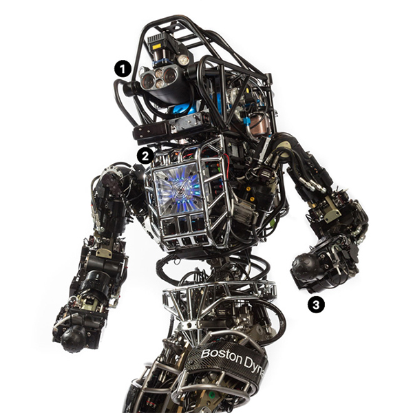 Робот,роботехника,DARPA, Однажды этот робот может спасти вам жизнь