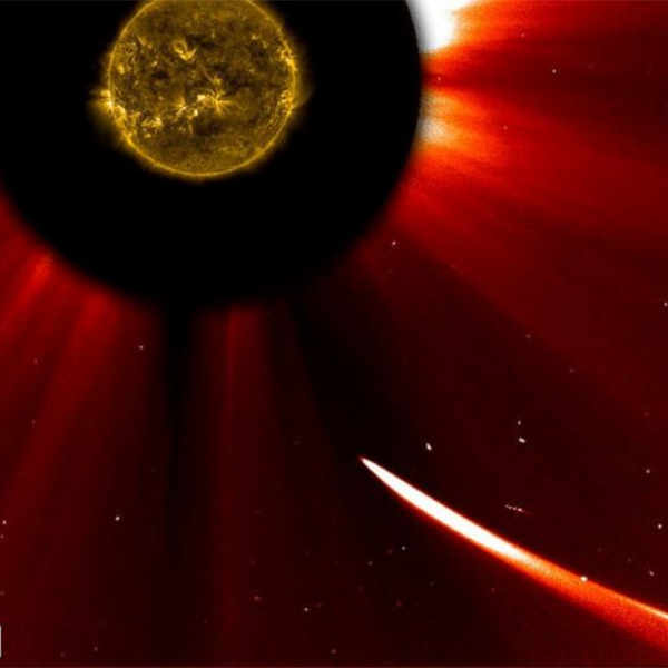 ISON, комета, космос, Комета ISON летит мимо Земли к Солнцу