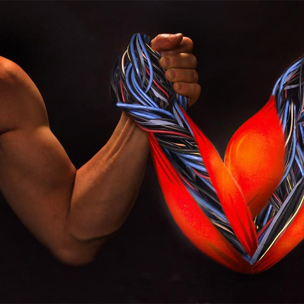 мускулы, нанотехнологии, Созданы искусственные мускулы, превышающие силу мышц человека в 1000 раз