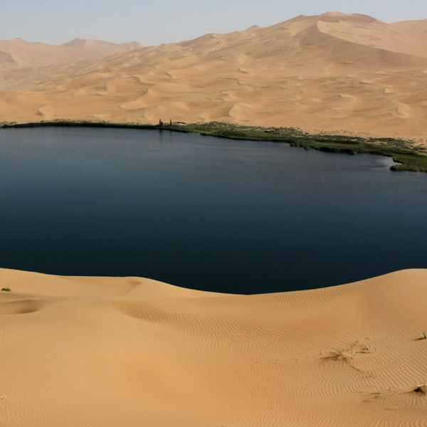 пустыня,дюны,природа,эксперимент, Ученые готовы перекопать всю пустыню, чтобы узнать, как устроены песчаные дюны 