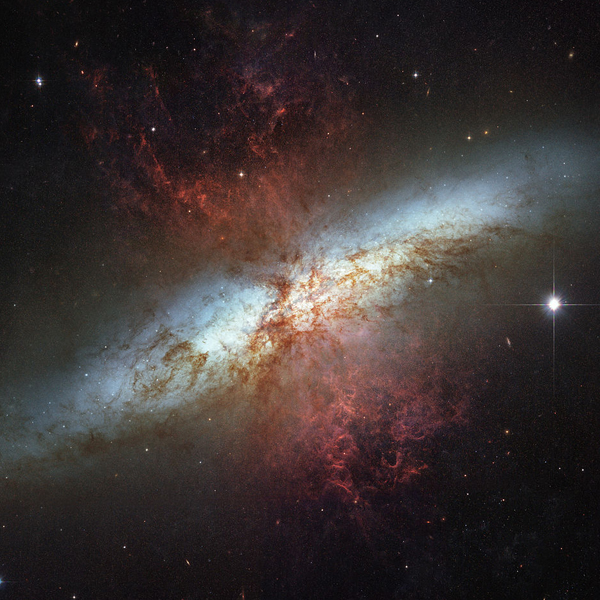 Вселенная, M82, сверхновая, звезда, В соседней галактике взорвалась сверхновая звезда