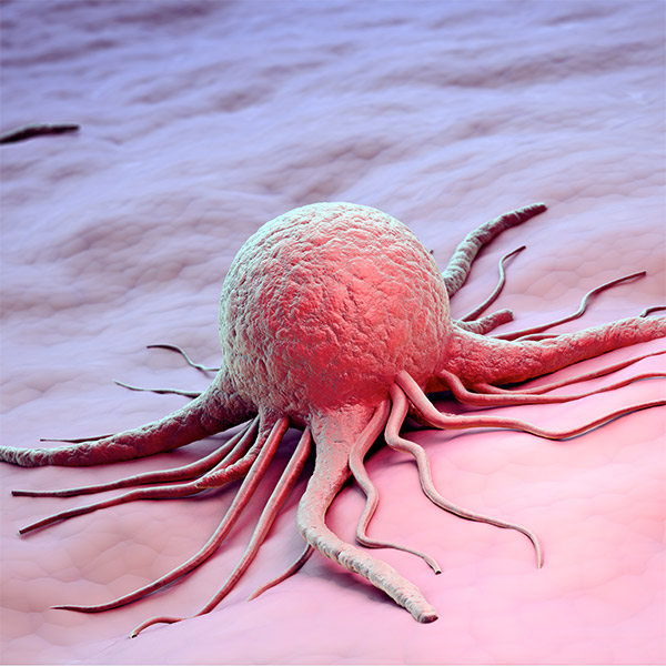 рак,медицина, Новое лекарство взрывает раковые клетки в мозге